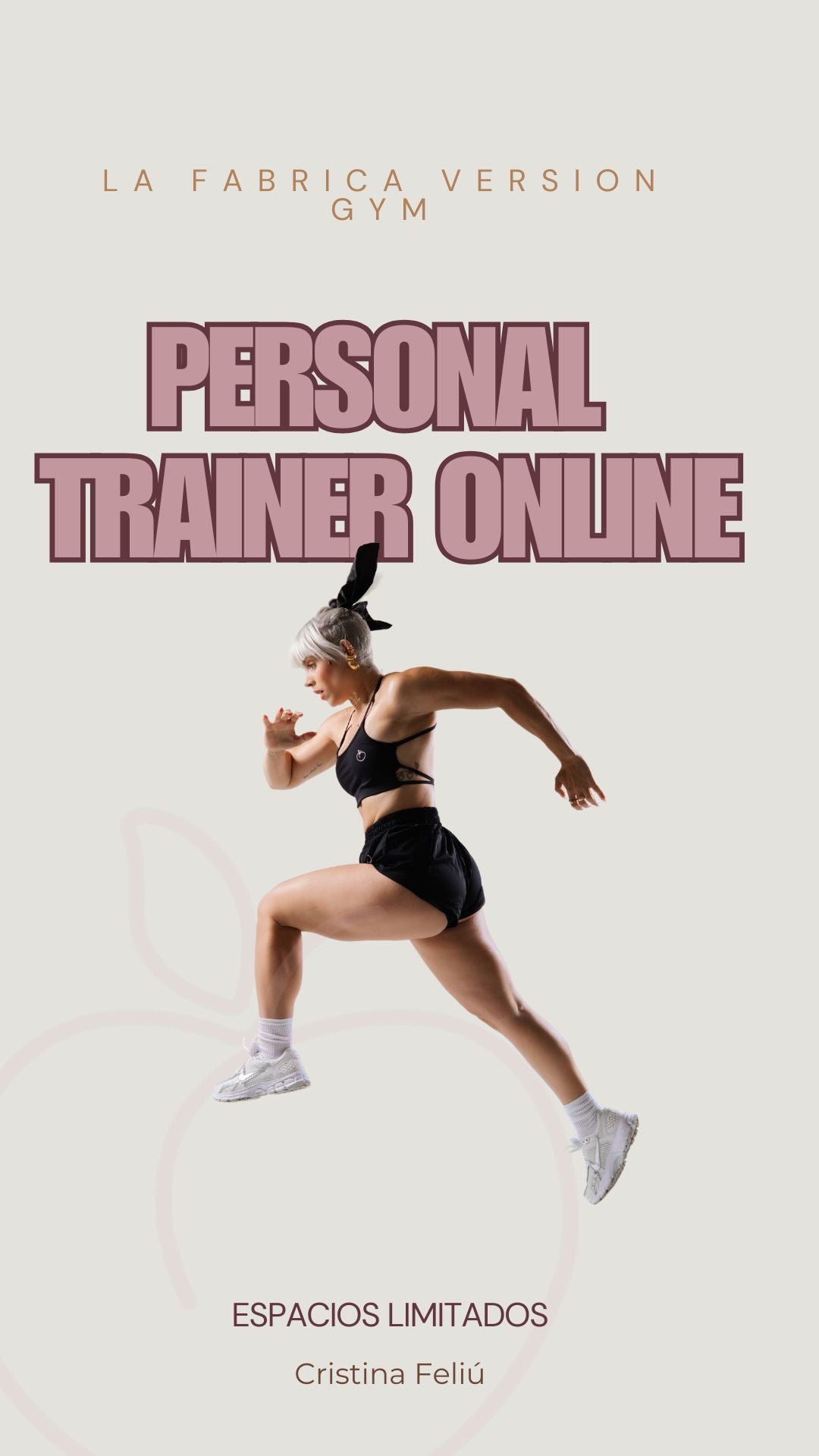 Personal Training Program Version GYM